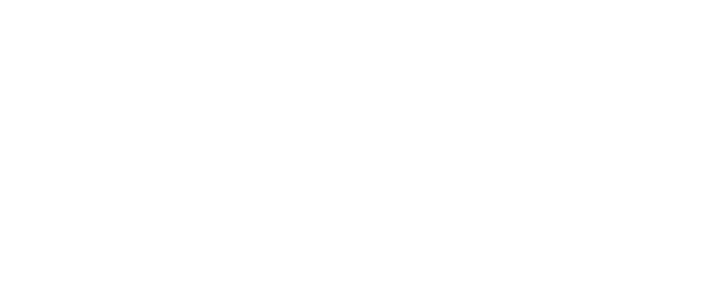 Virtualis Logo